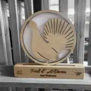 Trophée Trail d'artaran